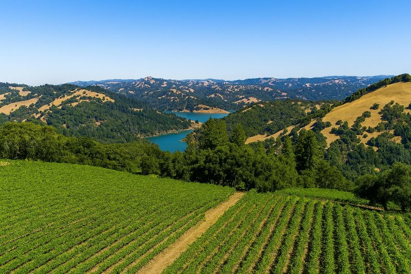 Real Estate Development in Sonoma County, CA